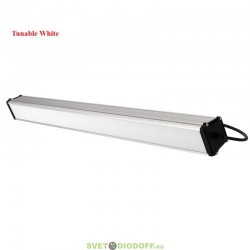 Светодиодный линейный промышленный светильник Tunable White Т-Линия v2.0 80Вт, 2700-6500К, Опал