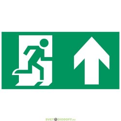 Аксессуар. Пиктограмма "Направление к эвакуационному выходу". Сигнум