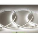 Светодиодная лента Class Premium, 2835, 240 led/m, 2300Лм/м, однорядная, 12V, 24W/m, IP20 Холодный