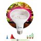 Лампа для растений ФИТО красно-синего спектра FITO-16W-RB-E27-K