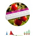Линейный светодиодный светильник для выращивания растений FITO-9W-Т5-N 573х21,5х24,4мм