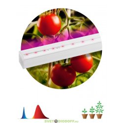Линейный светодиодный светильник для выращивания растений FITO-9W-Т5-N