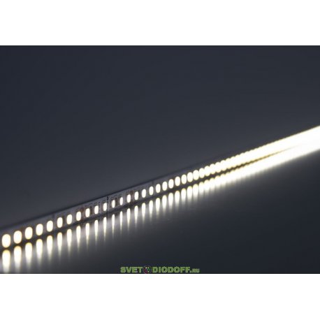 Светодиодная LED лента LS501, 120SMD(2835)/м 11Вт/м 24V 5000*8*1.22мм 4000К
