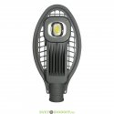 Консольный светодиодный светильник КОБРА 50 Мини ЭКО, 55Вт, 6480Лм, 4500К дневной, IP65