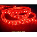 Лента светодиодная стандарт SMD 5050, 60 LED/м, 14,4 Вт/м, 12В , IP68, Цвет: Красный